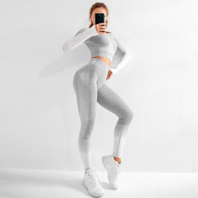 Women Seamless Yoga Sets Fitness Gym Wear Long Sleeve Shirts High Waist Running Leggings - KiwisLove