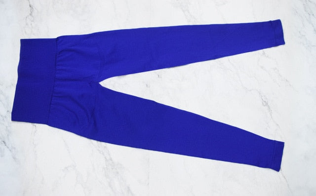 Yoga Leggings Nylon Gym Wear Clothes Costume Seamless Fitness Pants  Exercise - KiwisLove