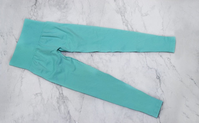 Yoga Leggings Nylon Gym Wear Clothes Costume Seamless Fitness Pants  Exercise - KiwisLove