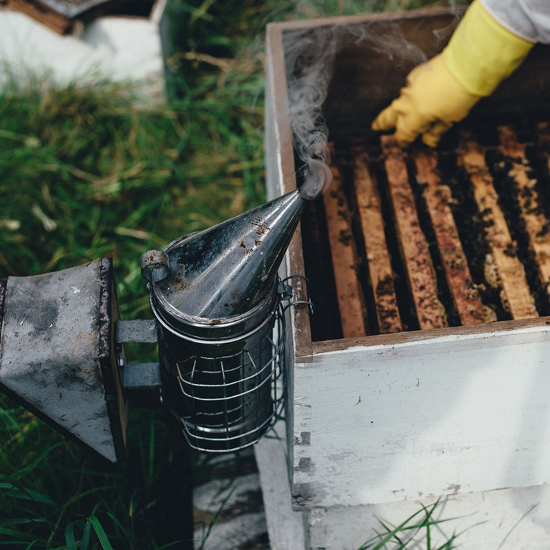 Stainless Steel Smoke sprayer Bee Smoker Apiculture Beekeeper - KiwisLove