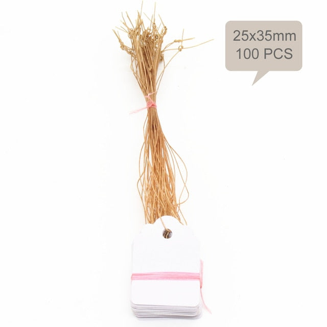 100PCS 35x25MM Hanging Plant Markers Labels - KiwisLove