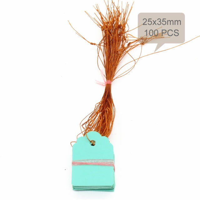100PCS 35x25MM Hanging Plant Markers Labels - KiwisLove