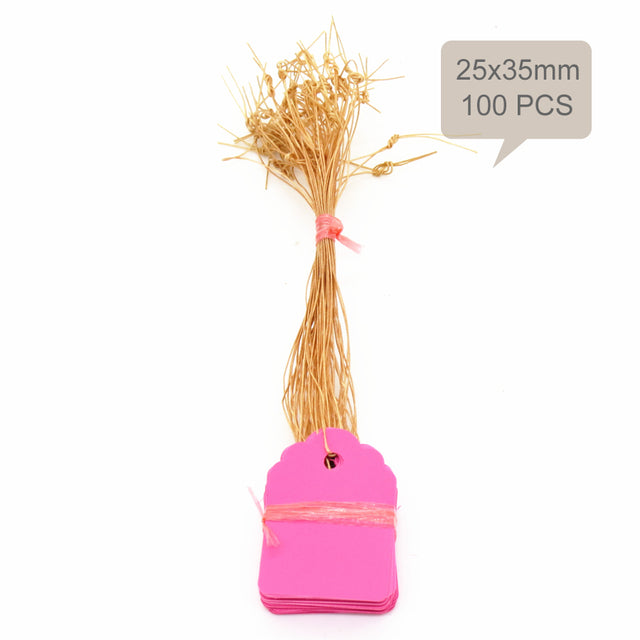 100PCS 35x25MM Hanging Plant Markers Labels - KiwisLove