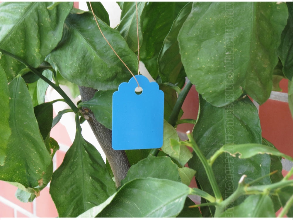 100PCS 35x25MM Hanging Plant Markers Labels - KiwisLove