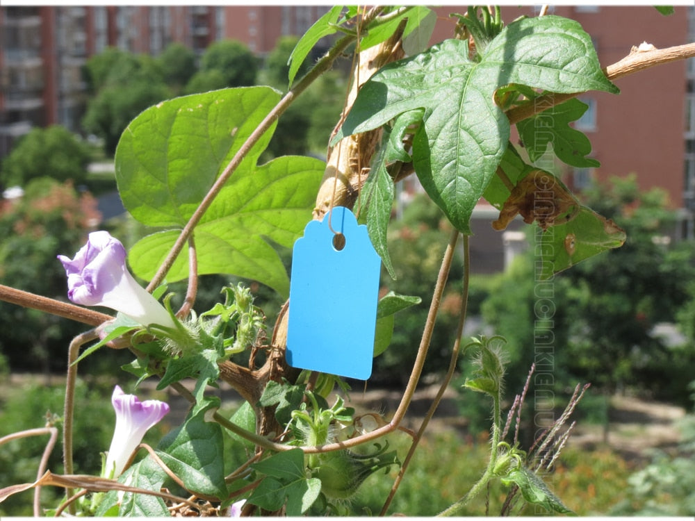 100PCS 35x25MM Hanging Plant Markers Labels - KiwisLove