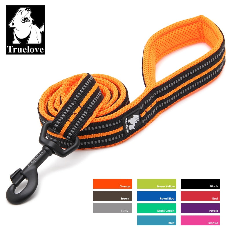 Truelove Soft Dog Pet Leash in Harness and Collar Reflective Nylon Mesh TLL2112 - KiwisLove