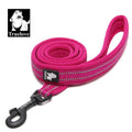 Truelove Soft Dog Pet Leash in Harness and Collar Reflective Nylon Mesh TLL2112 - KiwisLove