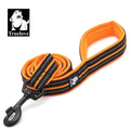 Truelove Soft Dog Pet Leash in Harness and Collar Reflective Nylon Mesh TLL2112 - KiwisLove