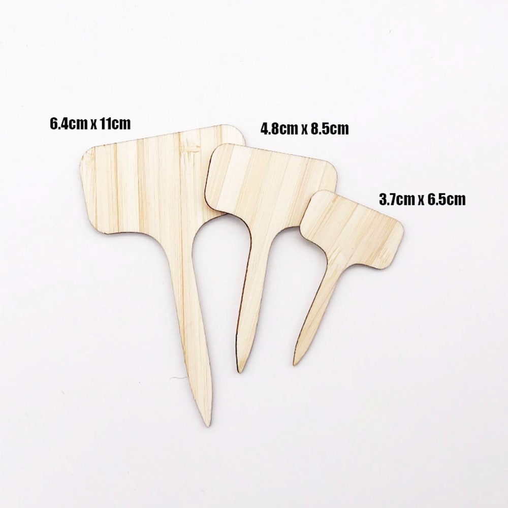 Bamboo Plant Labels Eco-Friendly - KiwisLove