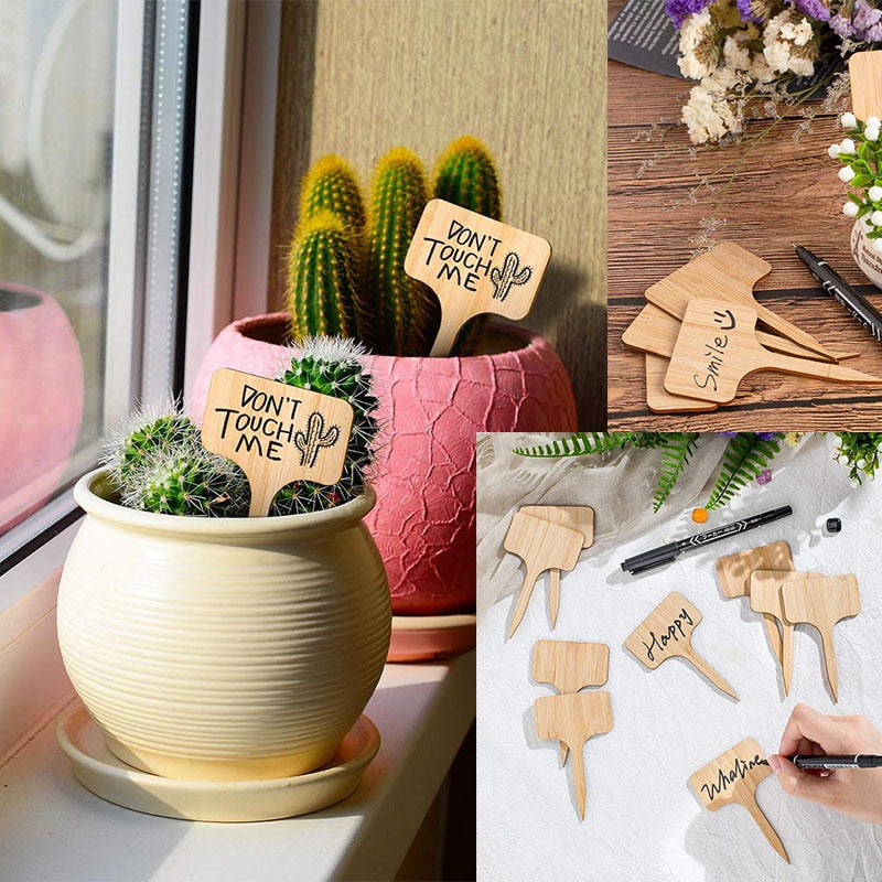 Bamboo Plant Labels Eco-Friendly - KiwisLove