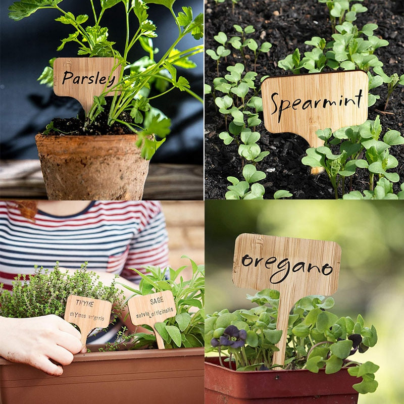 Bamboo Plant Labels Eco-Friendly - KiwisLove