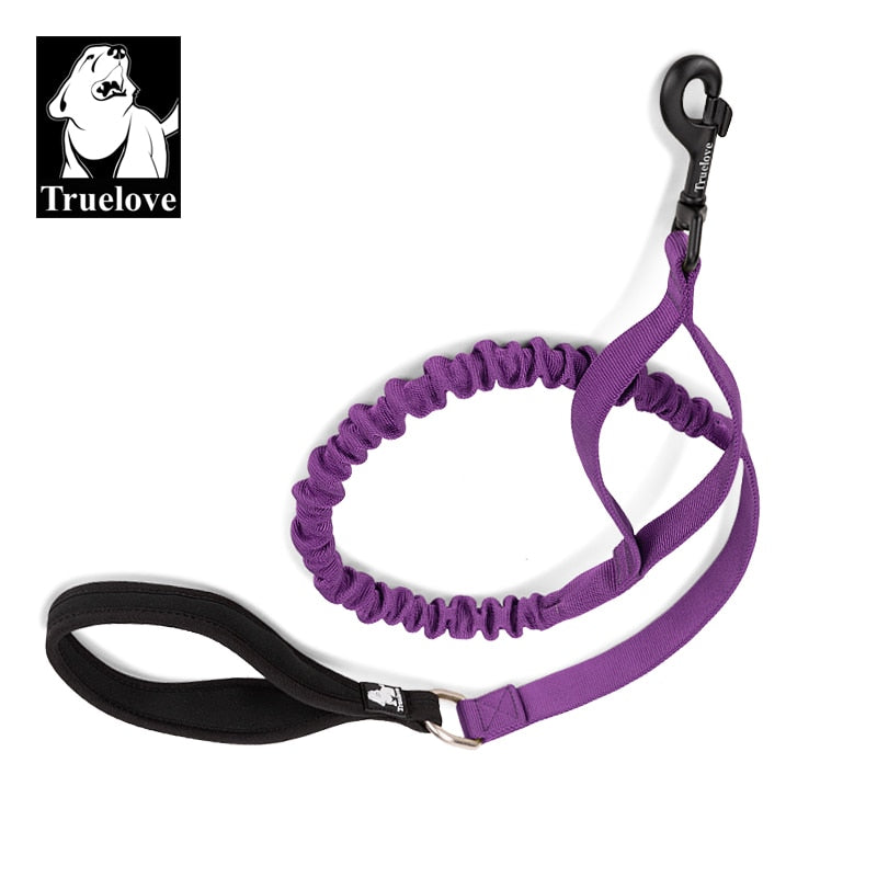 Truelove Dog Flexible Leash Cushioning Explosion-proof Buffering Elastic Rope  TLL2281 - KiwisLove