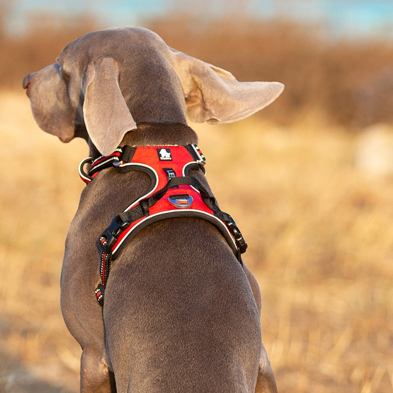 Truelove Reflective Nylon Dog Harness No Pull Adjustable - KiwisLove
