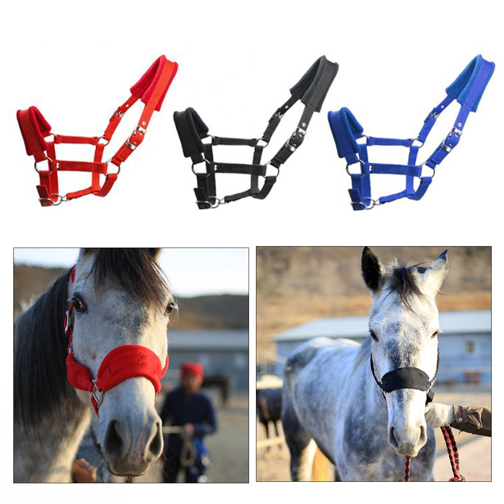 Thicken Horse Halter Padded Bridle Rein Headstall Head Collar Strap Stable Horse Ridding Halter Bridle Strap Equestrian - KiwisLove