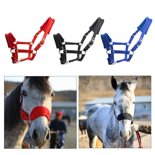 Thicken Horse Halter Padded Bridle Rein Headstall Head Collar Strap Stable Horse Ridding Halter Bridle Strap Equestrian - KiwisLove