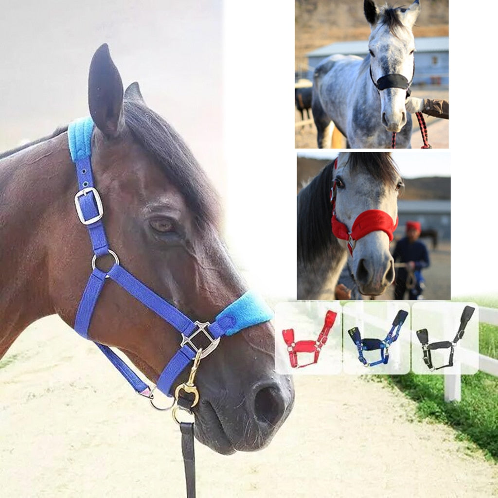 Thicken Horse Halter Padded Bridle Rein Headstall Head Collar Strap Stable Horse Ridding Halter Bridle Strap Equestrian - KiwisLove