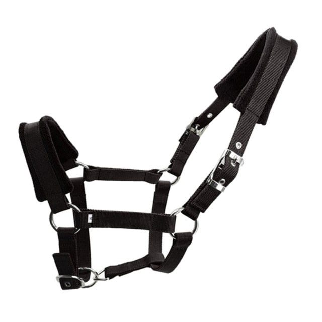 Thicken Horse Halter Padded Bridle Rein Headstall Head Collar Strap Stable Horse Ridding Halter Bridle Strap Equestrian - KiwisLove