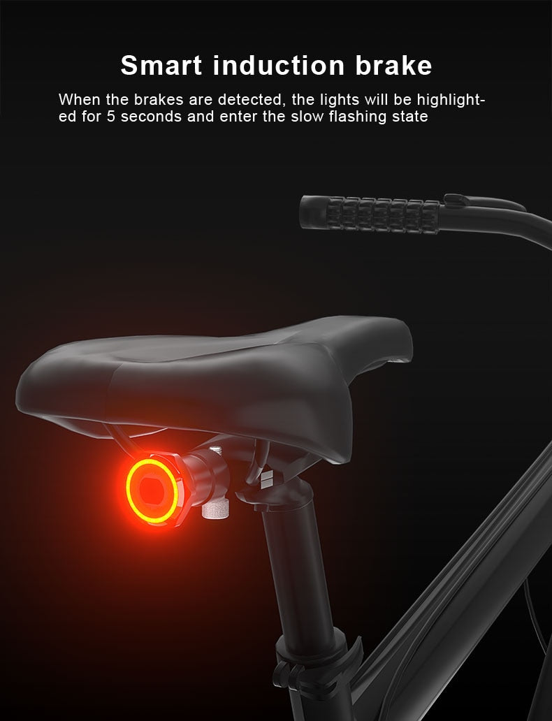 X-Tiger Bike Rear Light IPx6 Waterproof LED Charging Bicycle Smart Auto Brake Sensing Light Accessories Bike Taillight Light - KiwisLove