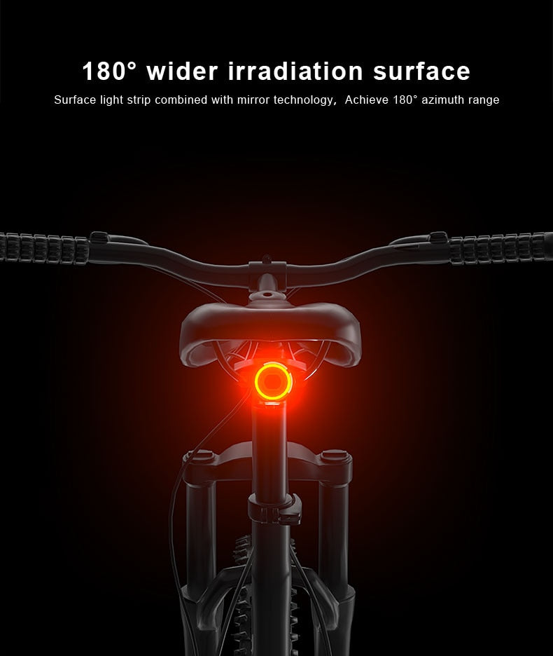 X-Tiger Bike Rear Light IPx6 Waterproof LED Charging Bicycle Smart Auto Brake Sensing Light Accessories Bike Taillight Light - KiwisLove
