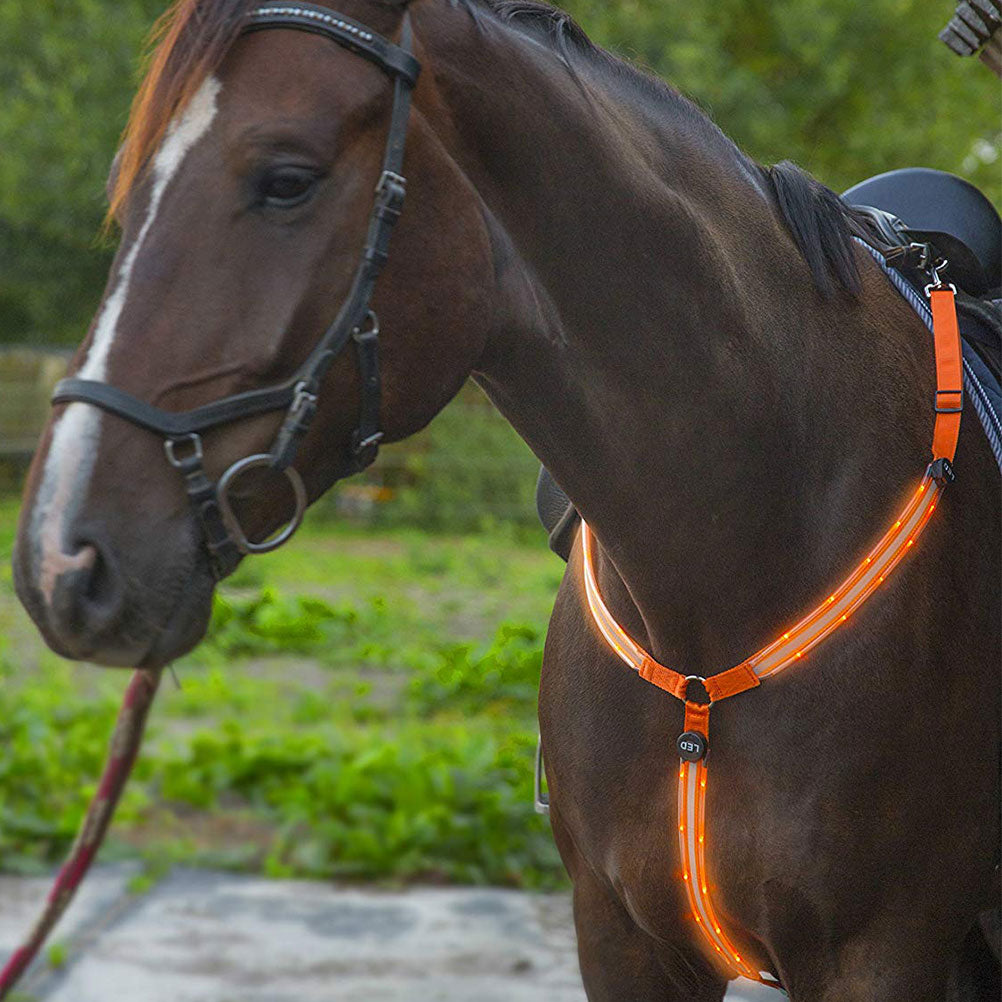 LED Horse Breastplate Collar High Visibility Tack For Horseback Riding Adjustable Safety Gear Horse Collar Chest Belt #20 - KiwisLove