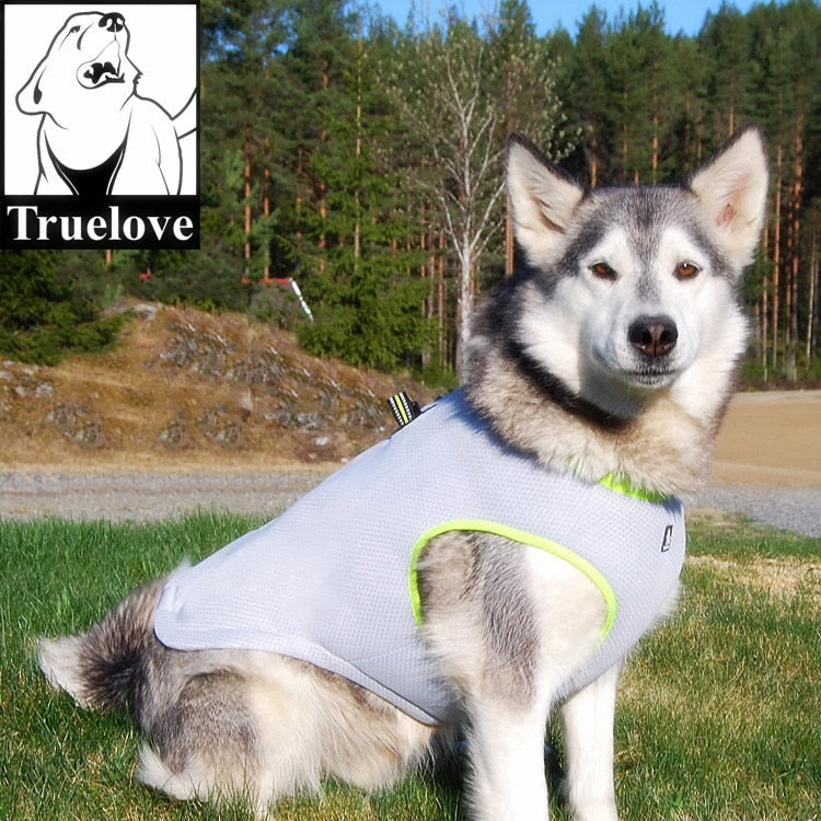 Truelove Dog Cooling Vest in Summer  Warm in Winter TLG2511 - KiwisLove
