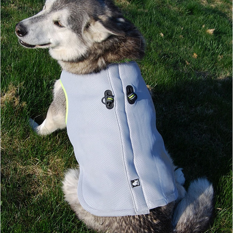 Truelove Dog Cooling Vest in Summer  Warm in Winter TLG2511 - KiwisLove