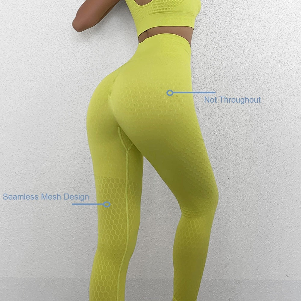Beehive Yoga Set Seamless Women Fitness Suit Gym Wear Running Sport Bra Legging - KiwisLove
