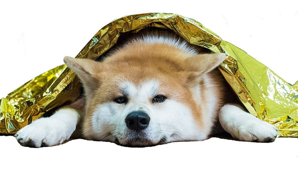 Outdoor Water Proof Emergency Survival Rescue Blanket Foil Thermal Space First Aid Sliver Rescue Curtain Military Blanket Tool - KiwisLove