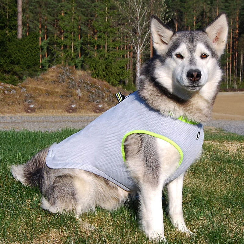 Truelove  dog summer clothes cooling vest jacket reflective vest  mesh harness - KiwisLove