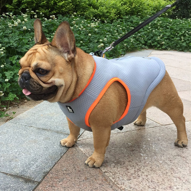 Truelove  dog summer clothes cooling vest jacket reflective vest  mesh harness - KiwisLove