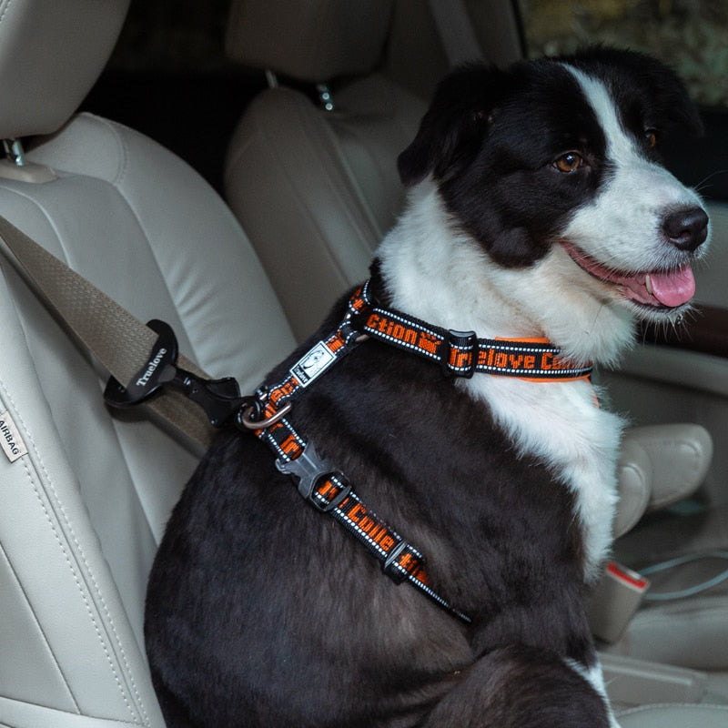 Truelove Vehicle Car Dog Seat Belt Lock Harness Collar Clip Safety - KiwisLove