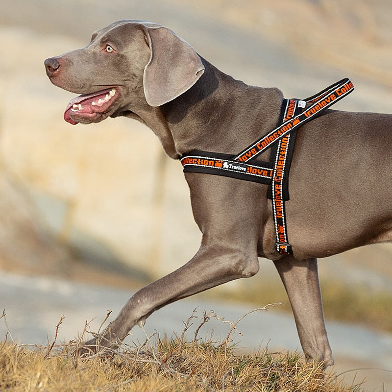 Truelove Dog Harness Neoprene Padded No Pull  TLH58121 - KiwisLove