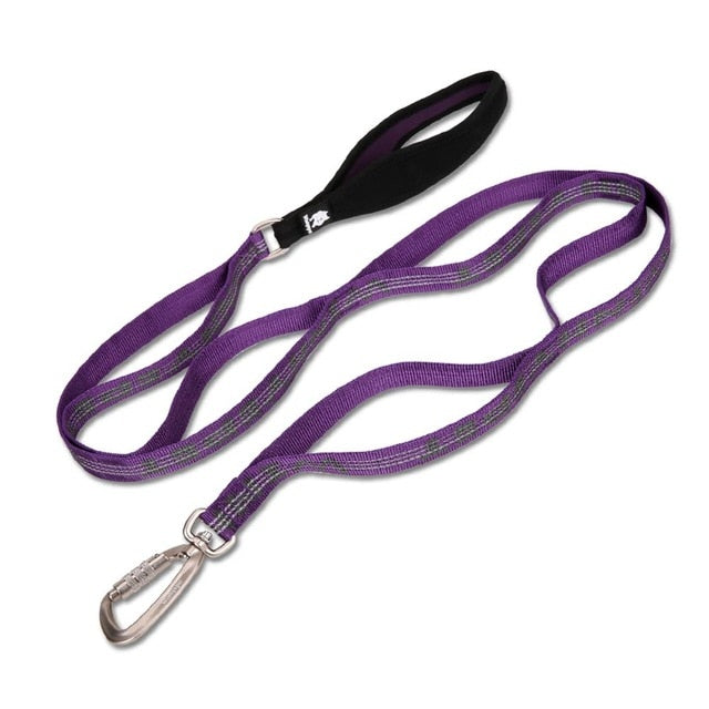 TRUELOVE Pet Leash YL1832 - KiwisLove