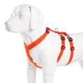 TRUELOVE  Dog Harness Double-H Nylon Personalized NO PULL Reflective Breathable Adjustable YH1803 - KiwisLove