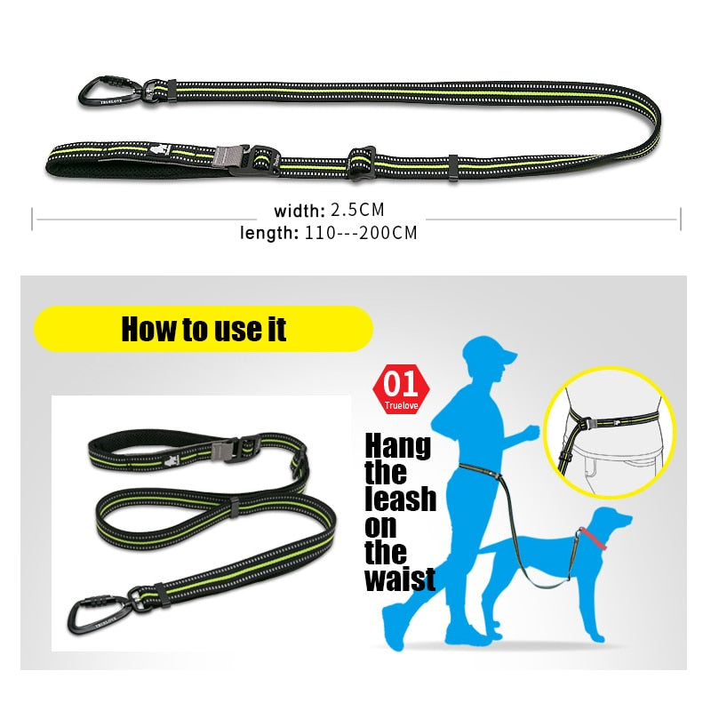 Truelove Pet Leash Hands Free Adjustable Nylon Dog  With Carabiner TLL2671 - KiwisLove