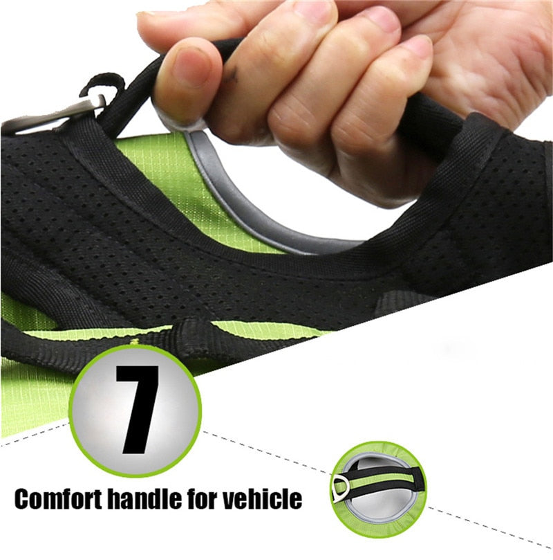 Truelove  Backpack Carrier Dog Harness and Bag Space Waterproof  Outdoor TLB2051 - KiwisLove