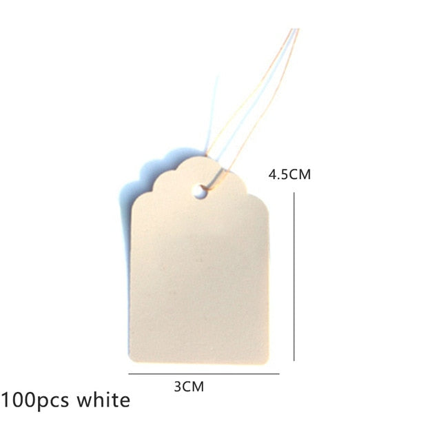 100pcs Garden Labels Seedings Tags - KiwisLove
