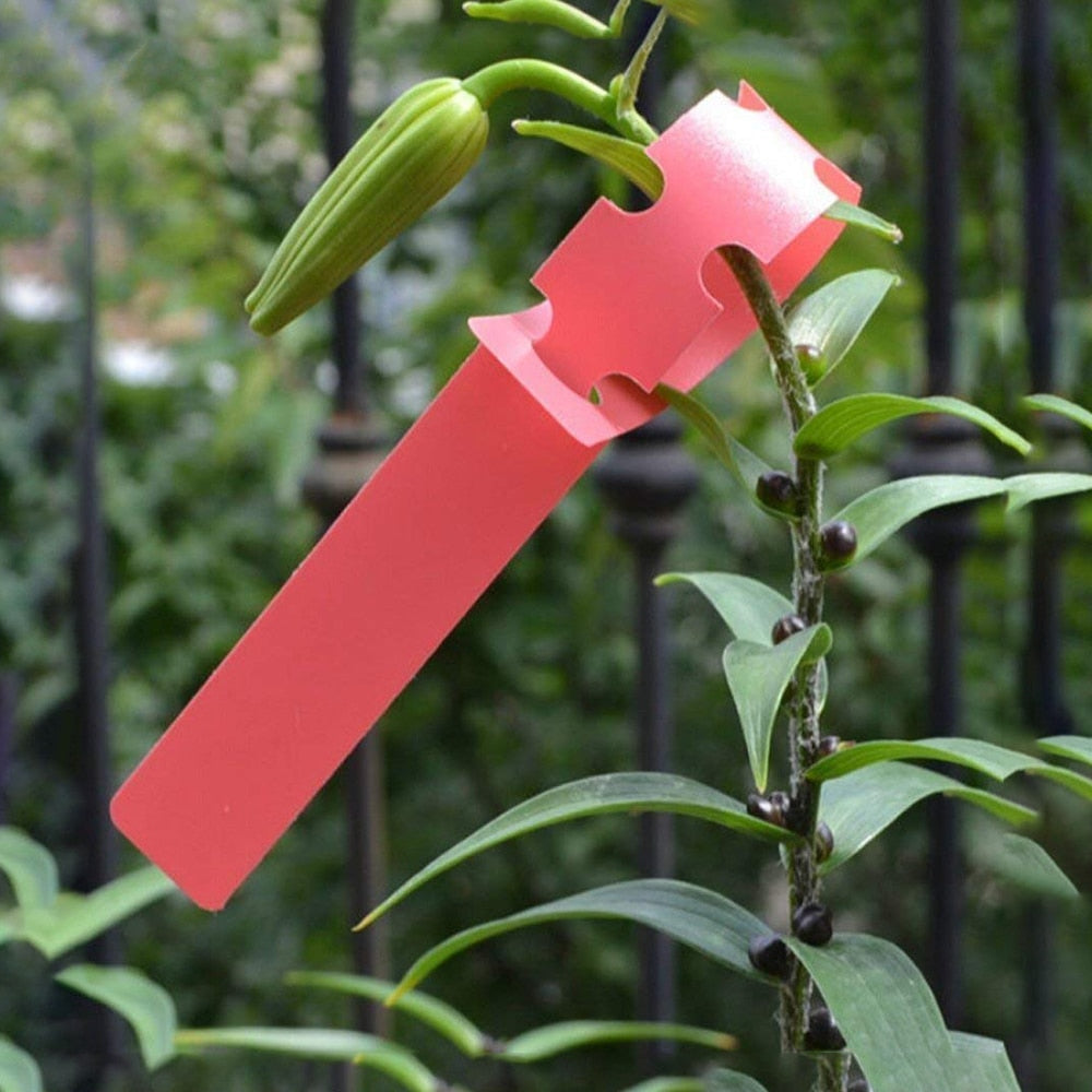 Plastic Plant Marker Plant Lable  Garden  Tag 21*2cm Waterproof Reusable - KiwisLove
