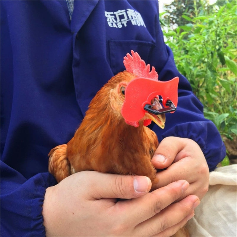 20 Pcs Red Soft Chicken Anti-pecking Glasses without Bolt - KiwisLove