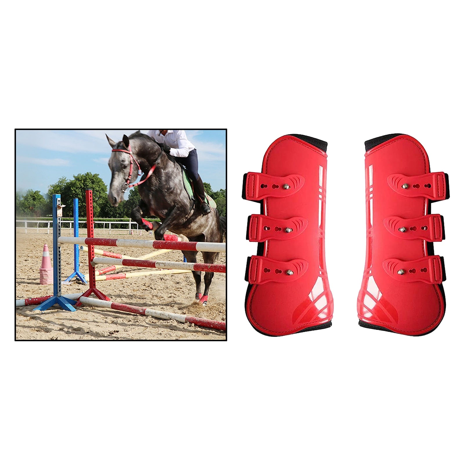 Horse Tendon Boot Horse PU Shell Neoprene Lined Leg Boots Sets Horse Bell Boots Legs Equine Protective Gear - KiwisLove
