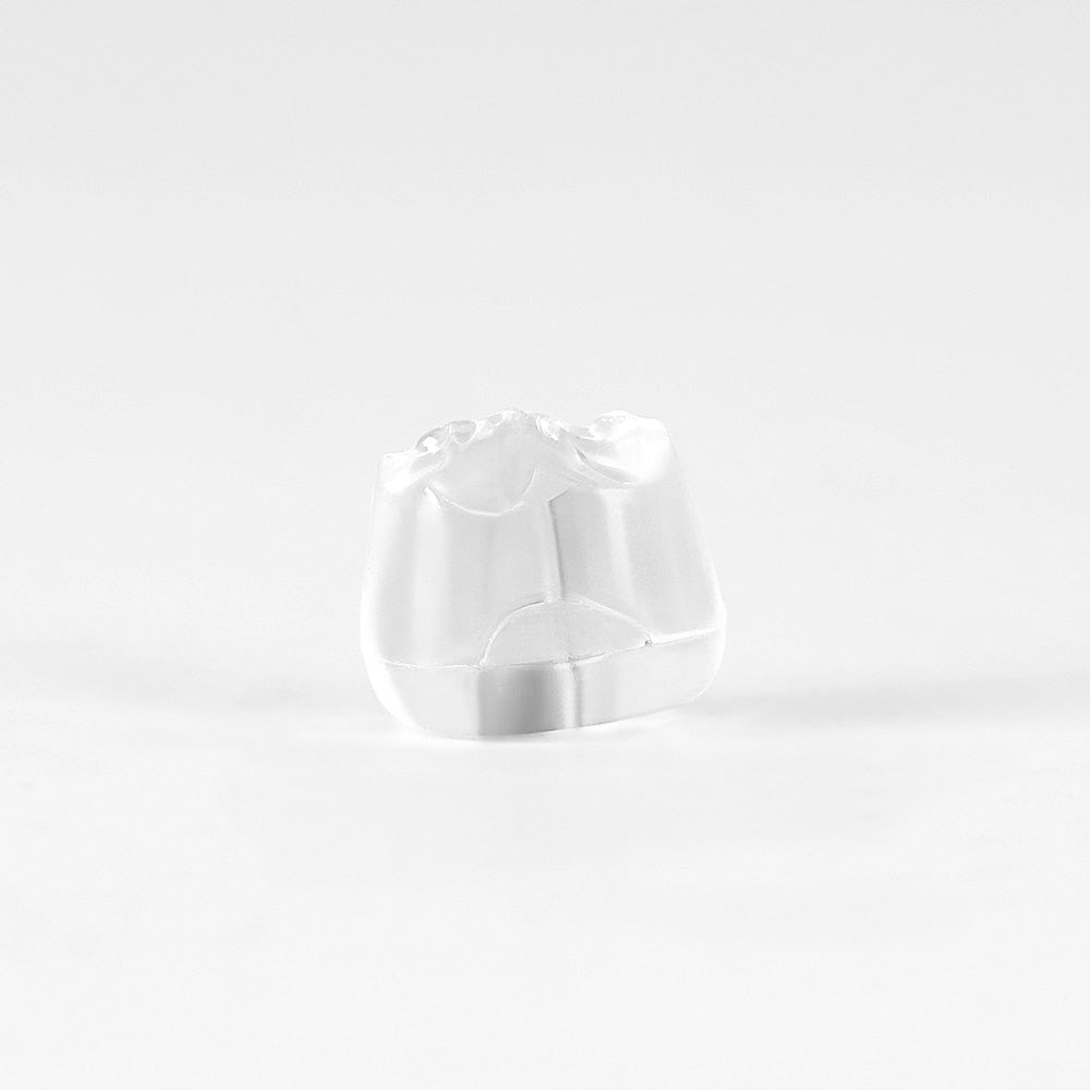 Dental Posterior Teeth Aesthetic Printing Mould Kit Dental Restoration Filling Tools - KiwisLove