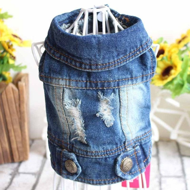 Spring Denim Dog Vest Shih Tzu Clothes for Small Dogs Yorkshire Terrier Puppy Jeans Jacket for Chihuahua Apparel Cat Clothes - KiwisLove