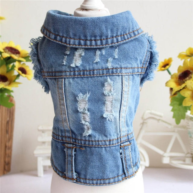 Spring Denim Dog Vest Shih Tzu Clothes for Small Dogs Yorkshire Terrier Puppy Jeans Jacket for Chihuahua Apparel Cat Clothes - KiwisLove