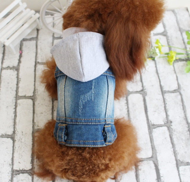 Spring Denim Dog Vest Shih Tzu Clothes for Small Dogs Yorkshire Terrier Puppy Jeans Jacket for Chihuahua Apparel Cat Clothes - KiwisLove