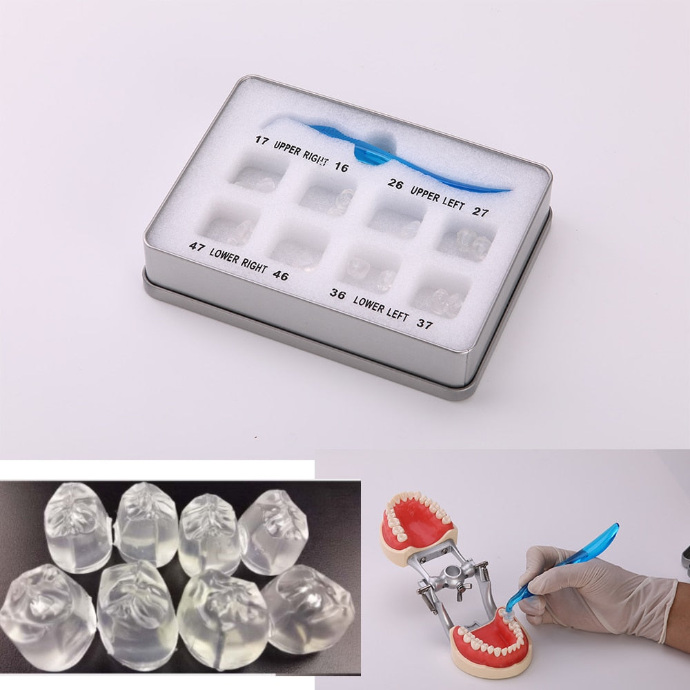 Dental Posterior Teeth Aesthetic Printing Mould Kit Dental Restoration Filling Tools - KiwisLove