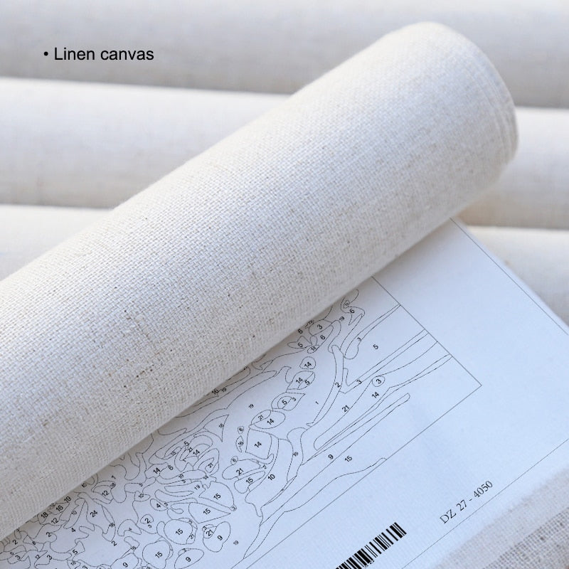 DIY Acrylic Paint By Numbers Kits  40x50cm diy  Frame Modern Wall Home Decor - KiwisLove