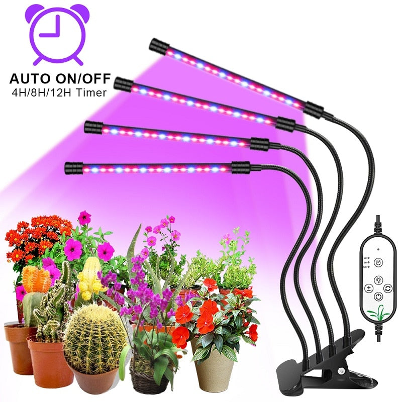 LED Grow Light USB Phyto Lamp Full Spectrum Fitolamp For Plants Seedlings Flower Home Tent - KiwisLove