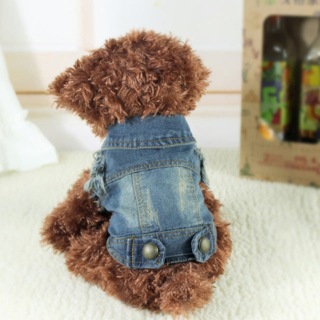Spring Denim Dog Vest Shih Tzu Clothes for Small Dogs Yorkshire Terrier Puppy Jeans Jacket for Chihuahua Apparel Cat Clothes - KiwisLove