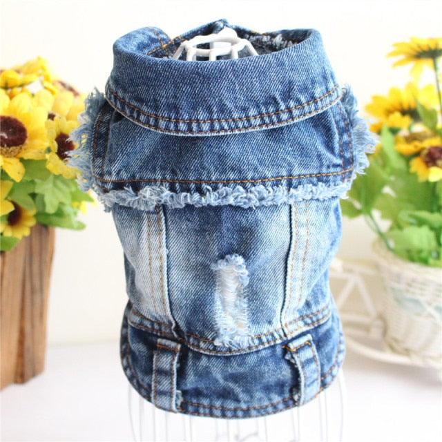 Spring Denim Dog Vest Shih Tzu Clothes for Small Dogs Yorkshire Terrier Puppy Jeans Jacket for Chihuahua Apparel Cat Clothes - KiwisLove