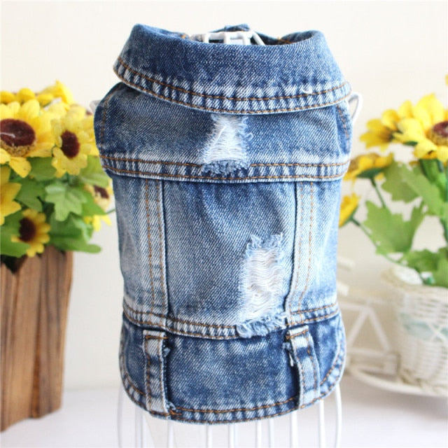 Spring Denim Dog Vest Shih Tzu Clothes for Small Dogs Yorkshire Terrier Puppy Jeans Jacket for Chihuahua Apparel Cat Clothes - KiwisLove